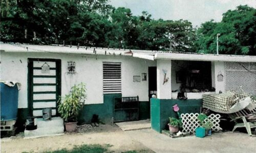 LOT NO. 104 HATTIEVILLE, BELIZE DISTRICT: