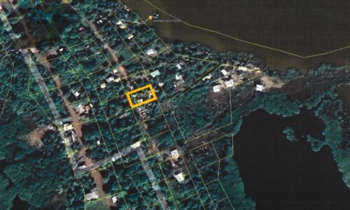 LOT NO. 67 GALES POINT, MANATEE, BELIZE DISTRICT: