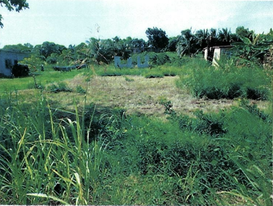 PARCEL NO. 942 RANCHITO VILLAGE, COROZAL DISTRICT: - Belize Property ...