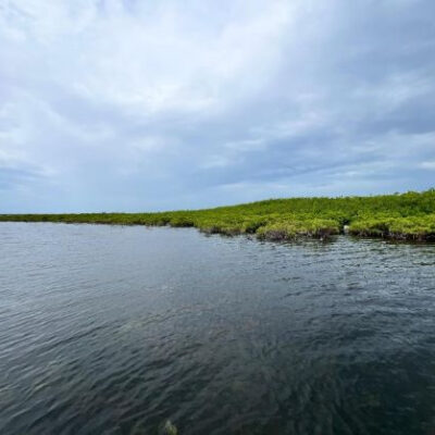 3.02 Acres along the Southeast point of Rendezvous Point, Turneffe Island, Belize District: