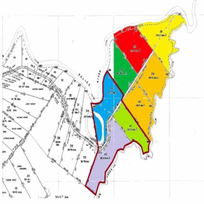 425.5 ACRES MORE TOMORROW AGRICULTURAL LAYOUT, CAYO DISTRICT: